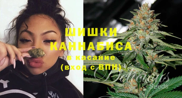 крисы Карпинск