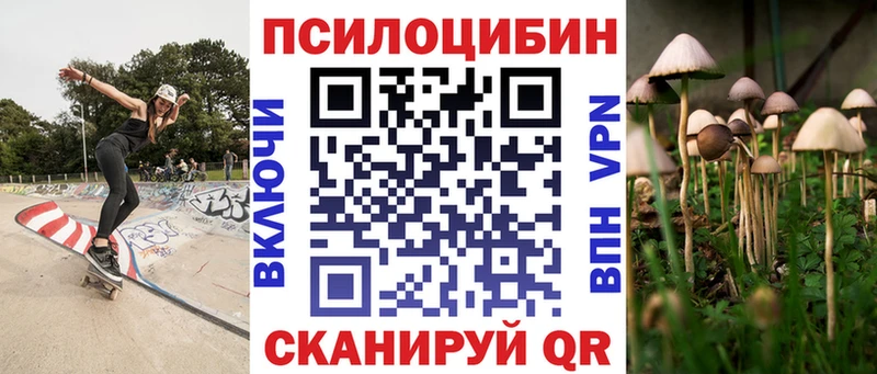 где купить наркоту  Белореченск  Псилоцибиновые грибы мицелий 